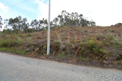 Terreno para Venda em Penafiel