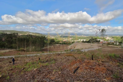 Terreno para Venda em Penafiel