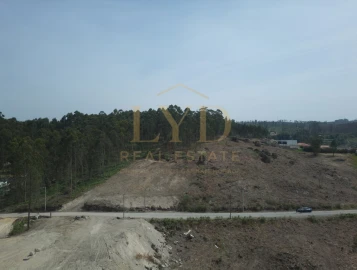 Terreno para Venda em Penafiel