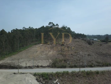 Terreno para Venda em Penafiel