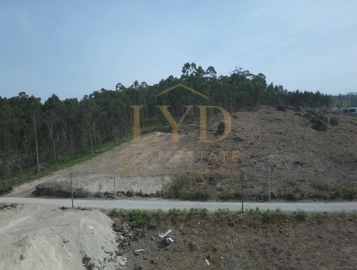 Terreno para Venda em Penafiel