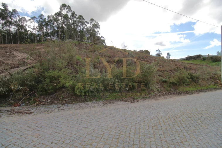 Terreno para Venda em Penafiel Foto 2