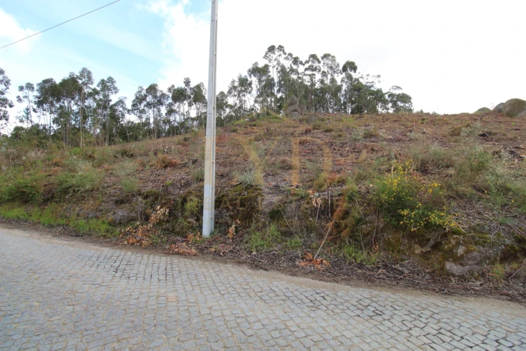 Terreno para Venda em Penafiel Foto 6