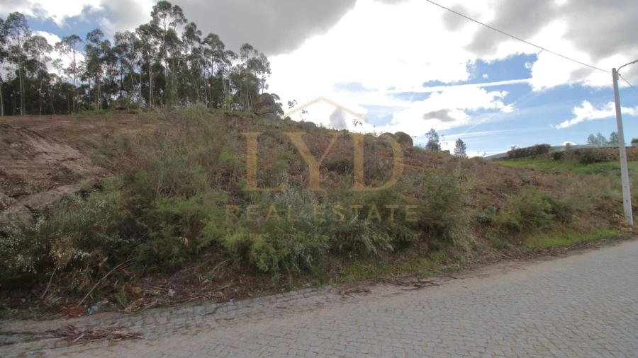 Terreno para Venda em Penafiel