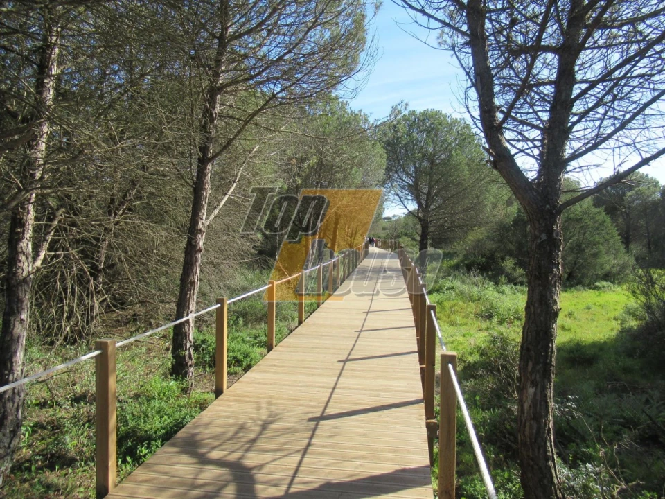 Negócio para Venda em Charneca de Caparica e Sobreda Foto 6