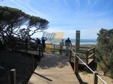 Negócio para Venda em Charneca de Caparica e Sobreda