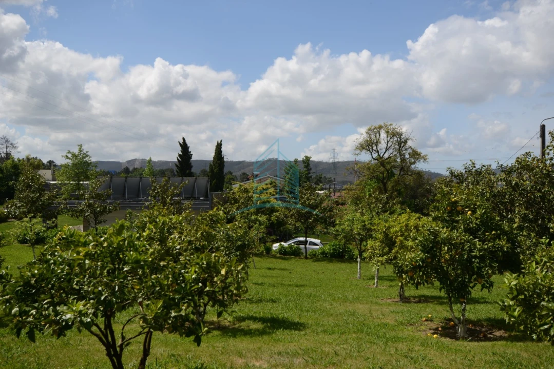 Moradia T3 para Venda em Campo e Sobrado Foto 10