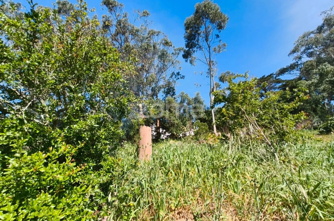 Moradia T2 para Venda em Alcabideche Foto 37