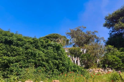 Moradia T2 para Venda em Alcabideche