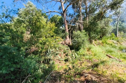 Moradia T2 para Venda em Alcabideche