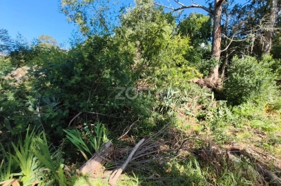 Moradia T2 para Venda em Alcabideche