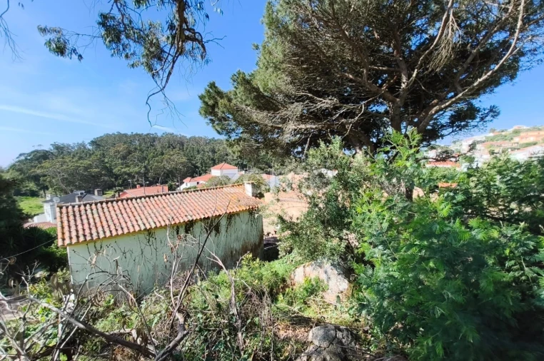 Moradia T2 para Venda em Alcabideche Foto 29