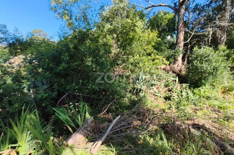 Moradia T2 para Venda em Alcabideche Foto 33