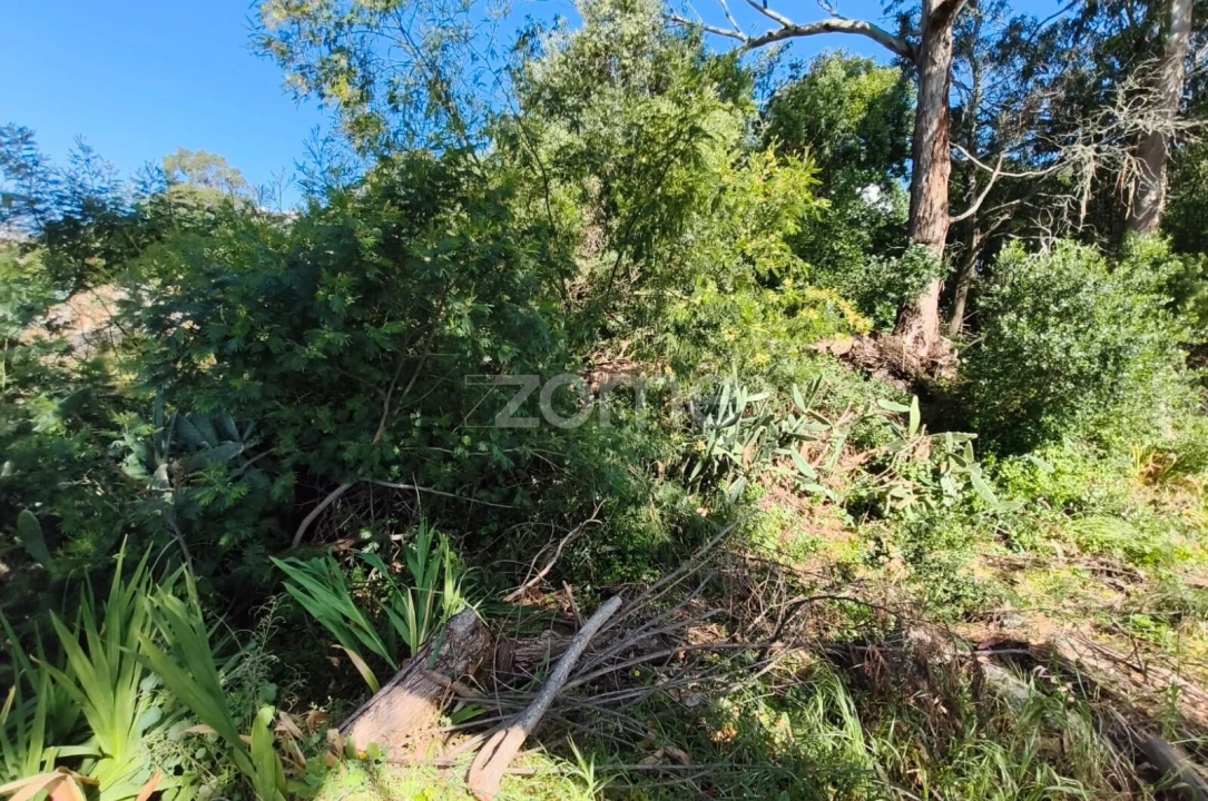 Moradia T2 para Venda em Alcabideche Foto 33