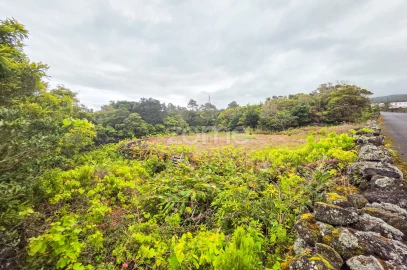 Terreno para Venda em Santa Luzia