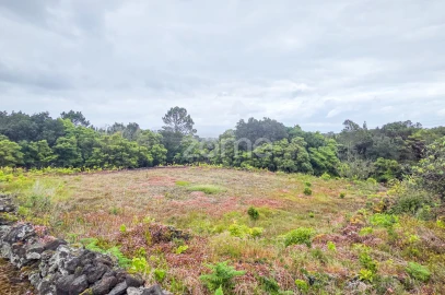 Terreno para Venda em Santa Luzia