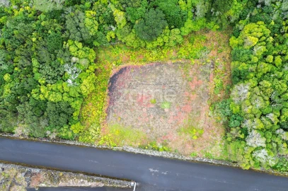 Terreno para Venda em Santa Luzia