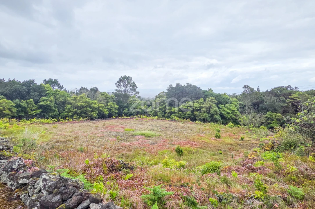 Terreno para Venda em Santa Luzia Foto 7