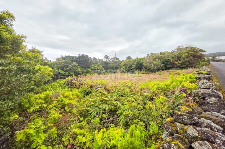 Terreno para Venda em Santa Luzia Foto 2