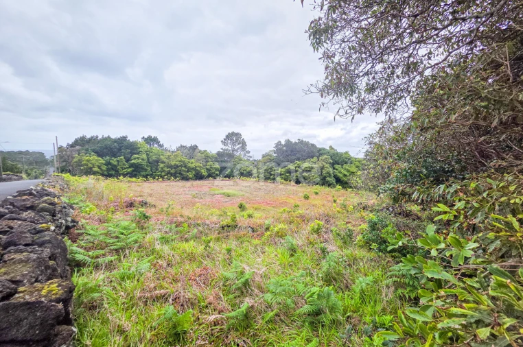 Terreno para Venda em Santa Luzia Foto 4
