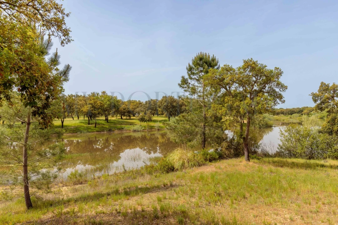 Moradia T4 para Venda em Santo Estêvão Foto 48