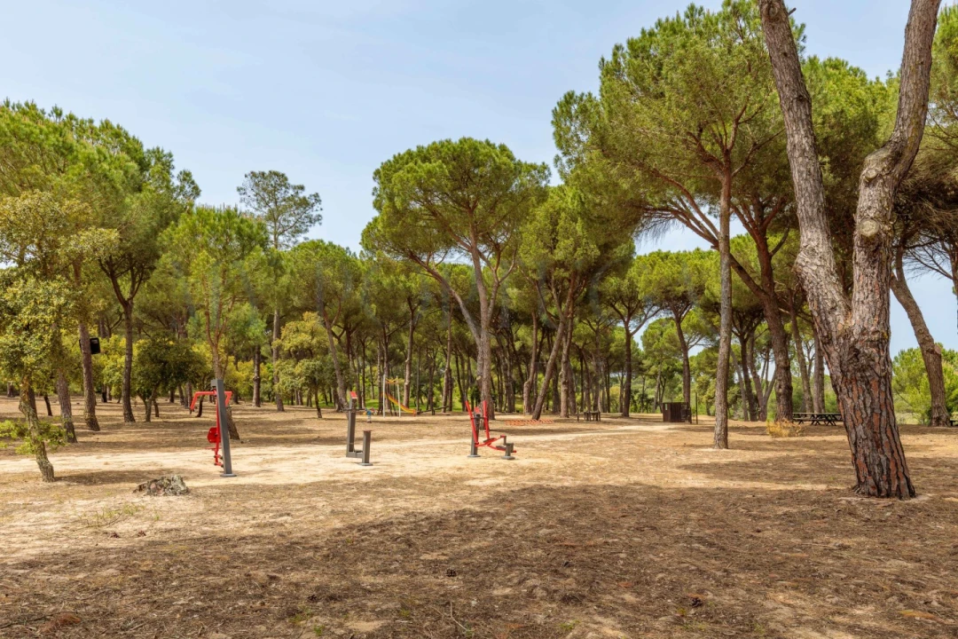 Moradia T4 para Venda em Santo Estêvão Foto 50