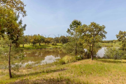 Moradia T4 para Venda em Santo Estêvão