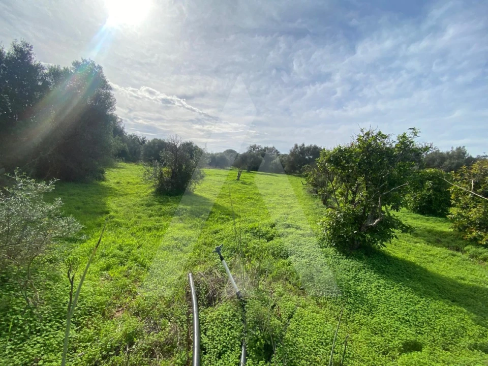 Terreno para Venda em Almancil Foto 1