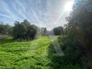 Terreno para Venda em Almancil