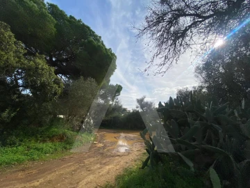 Terreno para Venda em Almancil