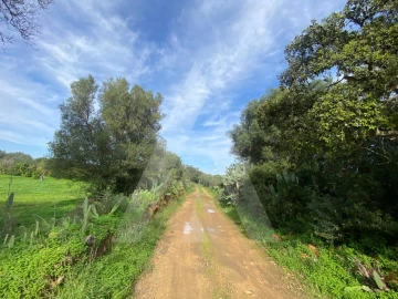 Terreno para Venda em Almancil