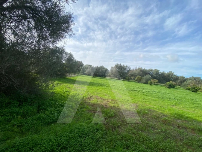 Terreno para Venda em Almancil Foto 10