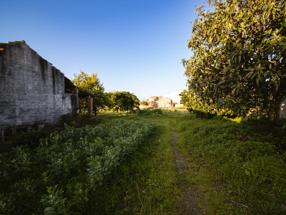 Moradia T4 para Venda em Arazede Foto 21