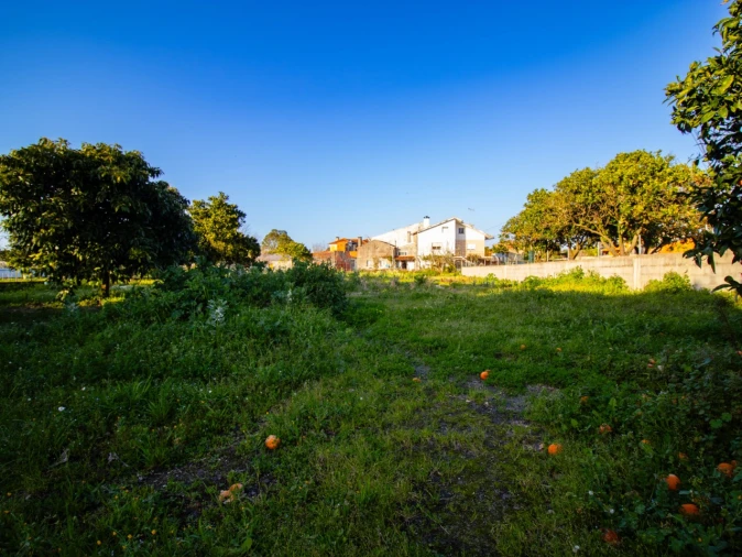 Moradia T4 para Venda em Arazede Foto 22