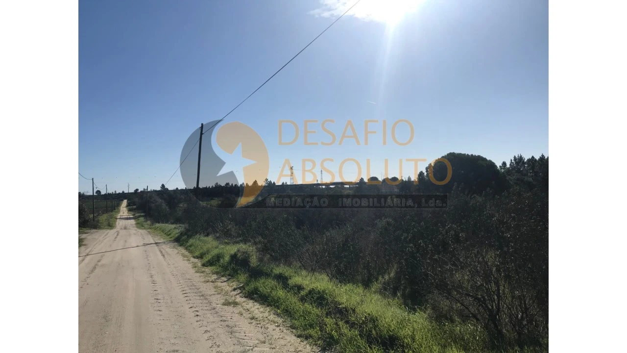 Terreno Agricola ou Rústico para Venda em Poceirão e Marateca Foto 3
