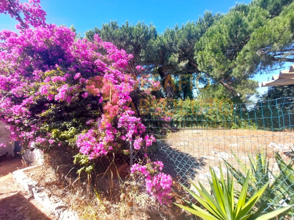 Terreno para Venda em Caparica e Trafaria Foto 2