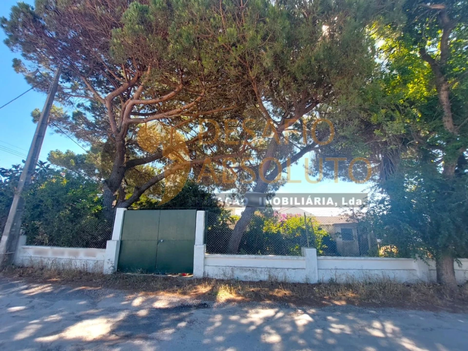 Terreno para Venda em Caparica e Trafaria Foto 16