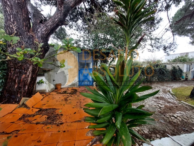 Terreno para Venda em Caparica e Trafaria Foto 5