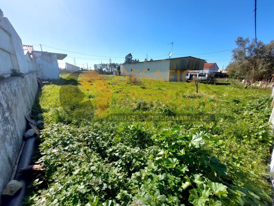 Terreno para Venda em Quinta do Anjo Foto 7