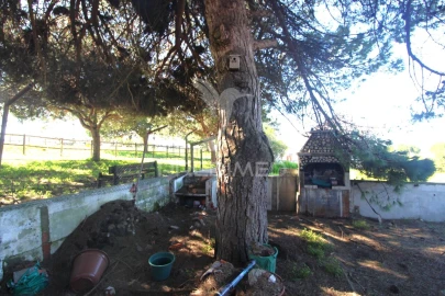 Moradia T4 para Venda em Sesimbra (Castelo)