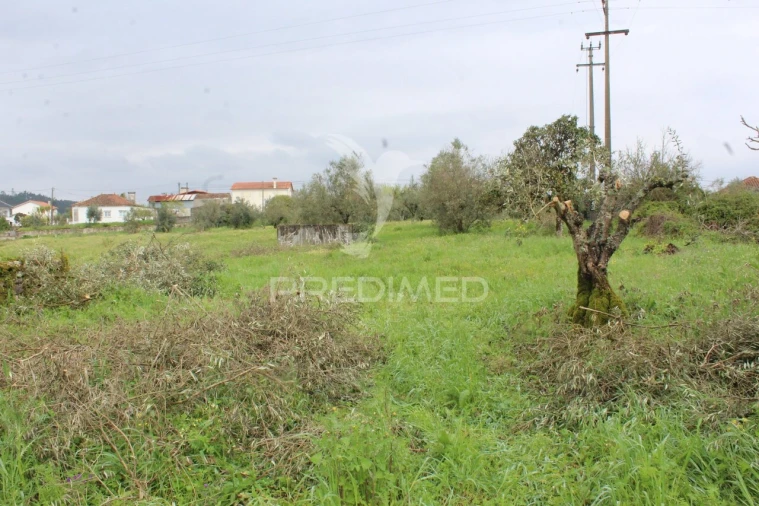 Moradia T4 para Venda em Pussos São Pedro Foto 35