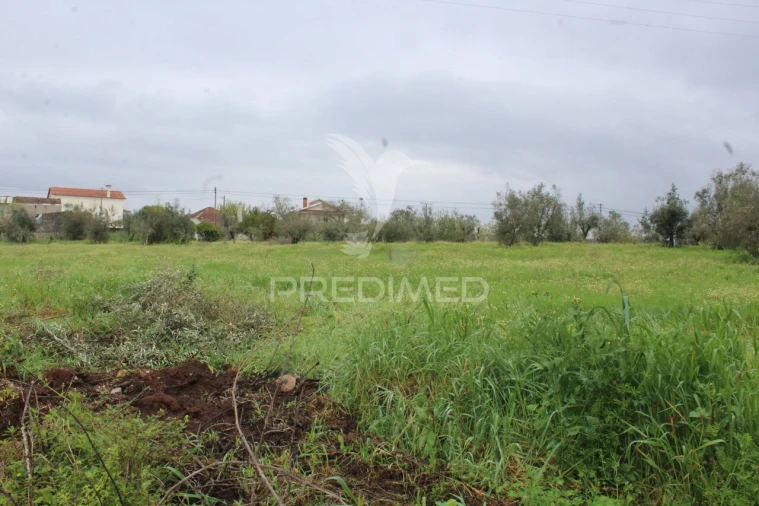 Moradia T4 para Venda em Pussos São Pedro Foto 23