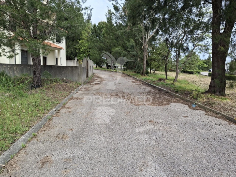 Terreno para Venda em Constancia Foto 7