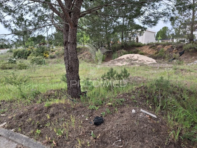 Terreno para Venda em Constancia Foto 3