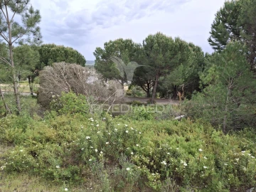 Terreno para Venda em Constancia