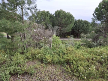 Terreno para Venda em Constancia