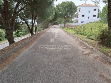 Terreno para Venda em Constancia