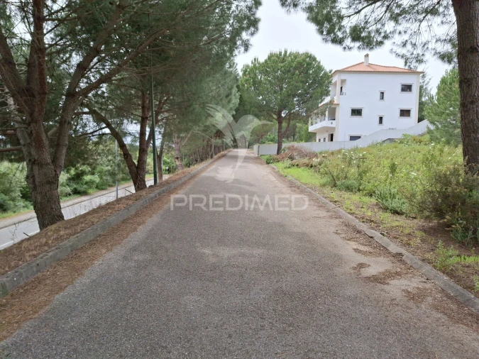 Terreno para Venda em Constancia Foto 2