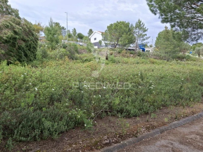 Terreno para Venda em Constancia Foto 8