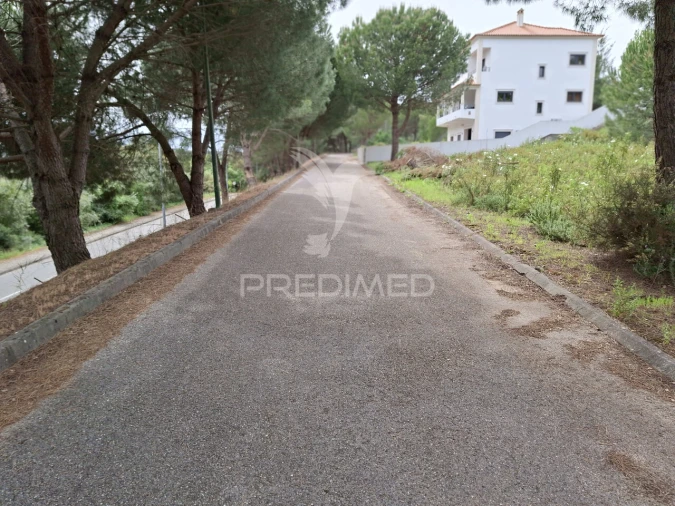 Terreno para Venda em Constancia Foto 6